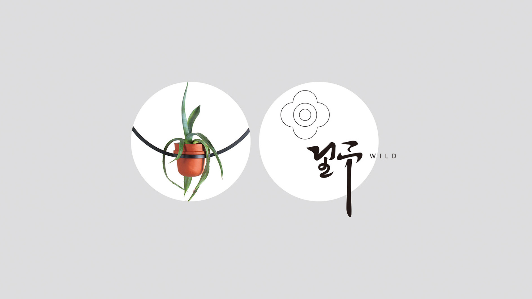 logo設計公司,企業logo設計
