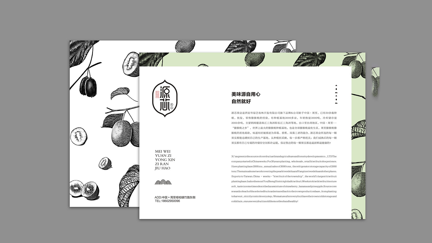 vi設計,設計公司
